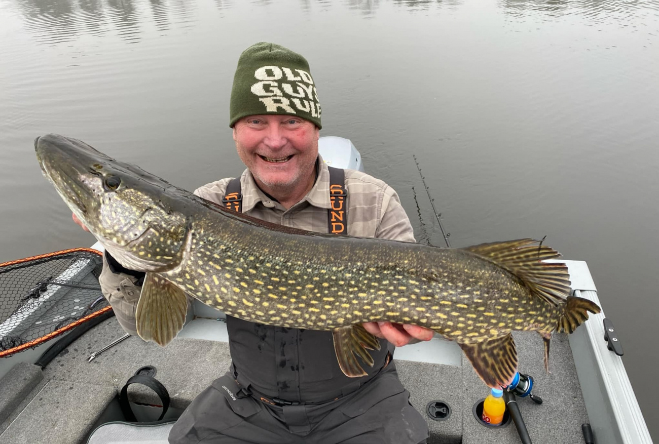 Meiho Betesbox, Justerbara Fack, 356x230x82mm - Clear